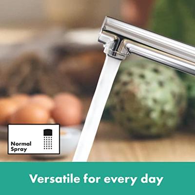 Hansgrohe Zesis M33 ééngreeps keukenmengkraan 160, installetie voor een raam, 1jet, chroom Hansgrohe Zesis M33 ééngreeps keukenmengkraan 160, installetie voor een raam, 1jet, chroom