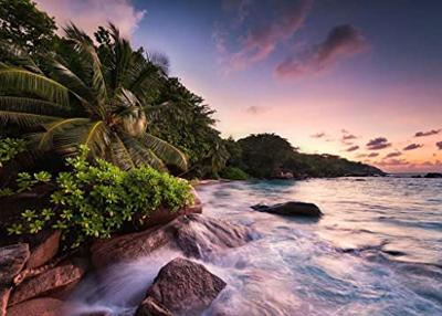 Ravensburger - Puzzle 1000 - Praslin Island, Seychelles (10215156)
