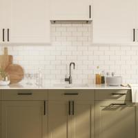 VidaXL Handvatten 20 st 160 mm roestvrij staal zwart - thumbnail