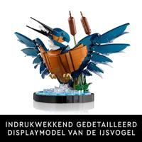 LEGO icons 10331 ijsvogel - thumbnail