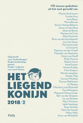 Het Liegend Konijn - eBook (9789463103862)