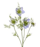 Nigella kunsttak 55 cm blauw - thumbnail