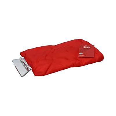 Carpoint IJskrabber Met Handschoen Assorti