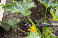 Gardena NatureLine krabber | FSC 100% - 17108-20 - 17108-20 - thumbnail