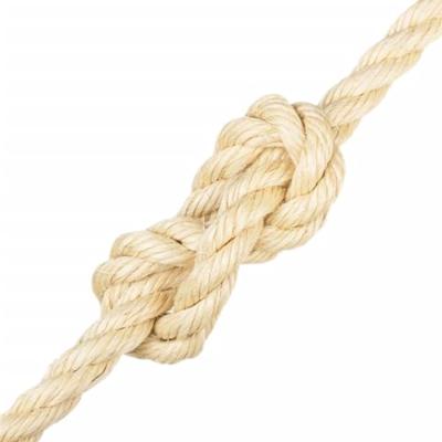 VidaXL Touw 20 mm 25 m 100% sisal