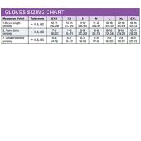 Geel/Roze Struikroos - thumbnail