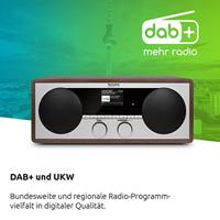 TechniSat Digitradio 451 CD IR Hybride radio Bruin - thumbnail