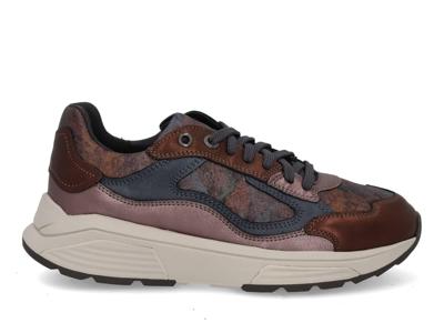 Xsensible Milau 33004.4 617 metallic com bordo maat 42