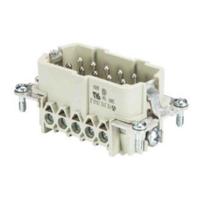 Wieland Electric 70.310.1040.0 Pin-inzetstuk BAS Totaal aantal polen 10 + PE 1 stuk(s) - thumbnail
