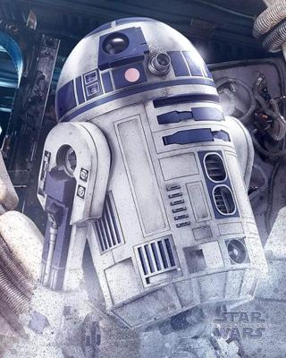 Poster Star Wars - the Last Jedi R2-D2 Droid 40x50cm Poster Star Wars - the Last Jedi R2-D2 Droid 40x50cm