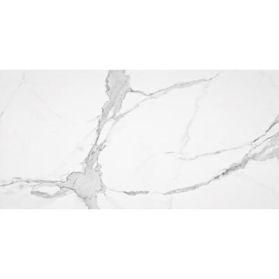 Vloertegel Alaplana P.E. Palladio Statuario Gepolijst 60x120 cm Gerectificeerd Marmerlook Alaplana