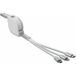 DeLOCK 85850 USB-kabel 0,98 m 2.0 USB A USB C/Micro-USB B/Lightning Zilver, Wit