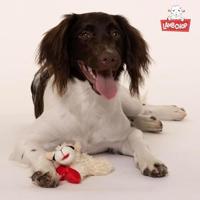 HAPPY PET LAMBCHOP SCHAAP PLUCHE - thumbnail