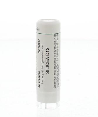Homeoden Heel Silicea D12 6 Gram