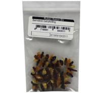 Edelstenen Babyketting Barnsteen - thumbnail