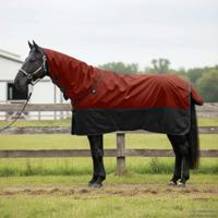 VidaXL Paardendeken donkergroen en zwart 95 cm polyester - thumbnail