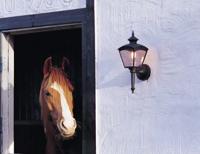 KonstSmide Klassieke buitenlampCassiopeia zwart - 480-750 - thumbnail