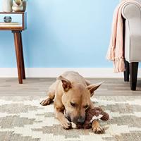 KONG SCRUNCH KNOTS SQUIRREL 11,5X8,5X36 CM - thumbnail