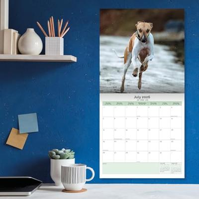 Whippet Kalender 2026 Whippet Kalender 2026