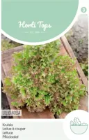 Zaden Krulsla Lollo Rossa Hortitops - Hortitops - thumbnail