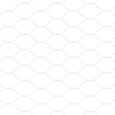 Zeskantig hekwerk Zilver 1.6 x 50 m Gegalvaniseerd staal