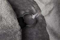 TRIXIE KRABPAAL KLARA XXL GRIJS 60X60X100 CM - thumbnail