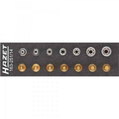 HAZET Gereedschapset - TORX® 163-251/14 - 1/4 inch (6,3 mm) vierkant hol - Buiten-TORX®-profiel, Binnen-TORX®-profiel - 14-delig - E4 - E11 - T10 - HAZET Gereedschapset - TORX® 163-251/14 - 1/4 inch (6,3 mm) vierkant hol - Buiten-TORX®-profiel, Binnen-TORX®-profiel - 14-delig - E4 - E11 - T10 -