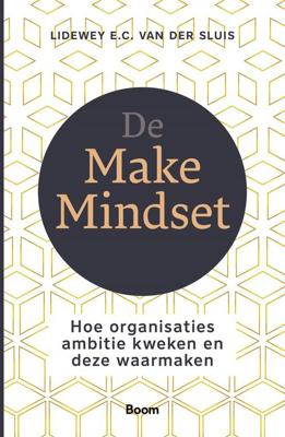 De Make Mindset - Lidewey van der Sluis - ebook