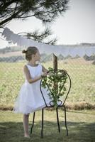 Santex Garland Ivy - thumbnail