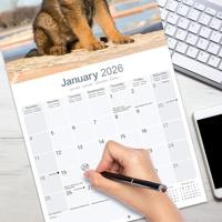 Duitse Herder Puppies Kalender 2026 - thumbnail