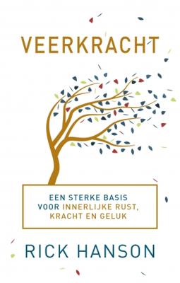 Veerkracht (Paperback)