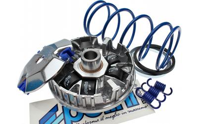 Polini variomatic "hi-speed" variomatic hispeed minarelli engine horizont