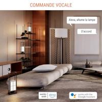 Mini smart socket - KONYKS - Priska Max Black FR - Wi-Fi+BT - 16A - Wit - thumbnail