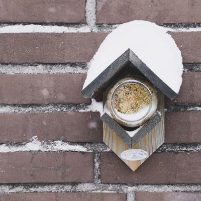 Esschert Design Vogelvoer pindakaas voor tuinvogels 340g