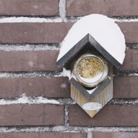 Esschert Design Vogelvoer pindakaas voor tuinvogels 340g - thumbnail