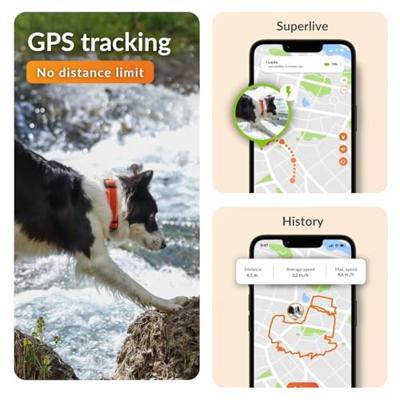 GPS hondenhalsband - WEENECT Dog XT - XL antenne - Waterdicht - Julius-K9 halsband - Werkt met abonnement - Zwart - thumbnail
