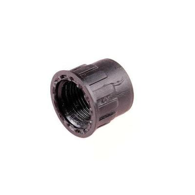 Gloria Klemmoer v slang