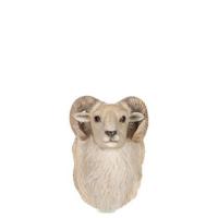 Geitenkop hangend Polystone beige 35 cm - thumbnail