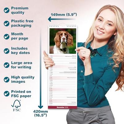 English Springer Spaniel Slim Calendar 2026 Dog Breed Slimline Calendar - 12 Month