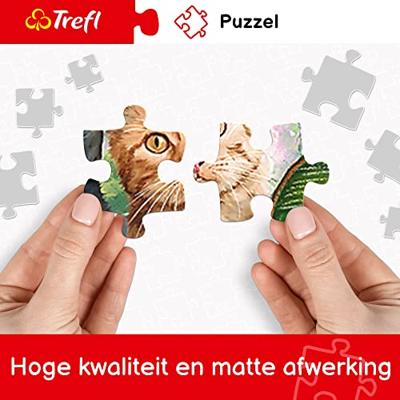 Intro Trefl puzzel van stoomtrein in de bergen 1000 stukjes - thumbnail