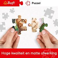 Intro Trefl puzzel van stoomtrein in de bergen 1000 stukjes - thumbnail