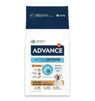 Advance adult labrador retriever - thumbnail