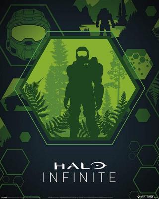 Poster Halo Infinite - Master Chief Hex 40x50cm Poster Halo Infinite - Master Chief Hex 40x50cm