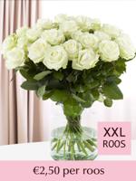 Witte rozen - XXL rozen - 10 t/m 99 rozen - Avalanche - thumbnail