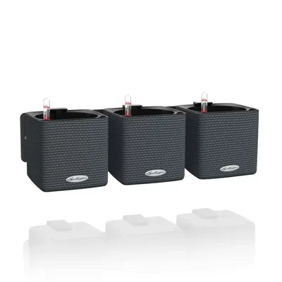 Lechuza Green Wall Home Kit Leisteengrijs