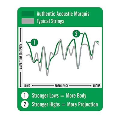 Martin Strings MA170S Authentic Acoustic Silked 80/20 Bronze