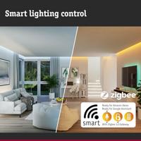 Paulmann Basket 94754 Verlichtingssysteem Plug&Shine Decoratieve LED-lamp LED 3.2 W Warmwit Zwart - thumbnail