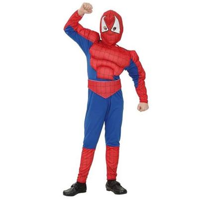 Gespierde spiderman pak kind