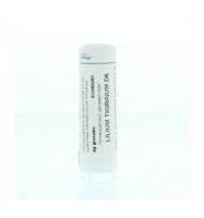 Homeoden Heel Lilium tigrinum D6 6 Gram - thumbnail