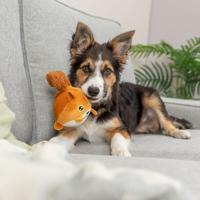 Knuffel voor honden Trixie Polyester Pluche Eekhoorn 13 cm - thumbnail